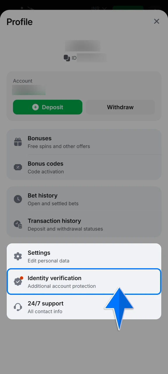 Confirm your identity in your profile settings to ensure your future Aviatrix winnings are secured and ready for withdrawal.