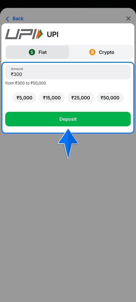 Specify the sum you wish to add in INR and provide the necessary payment credentials for your chosen 1win method.